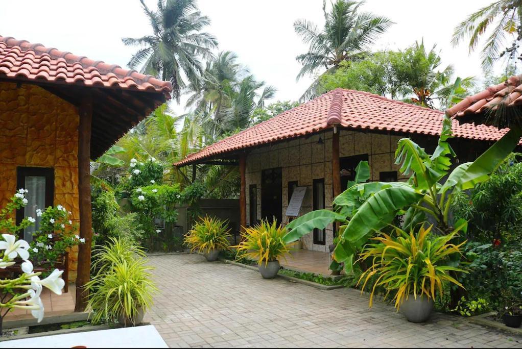 Maple Leaf Hotel Negombo Exterior foto